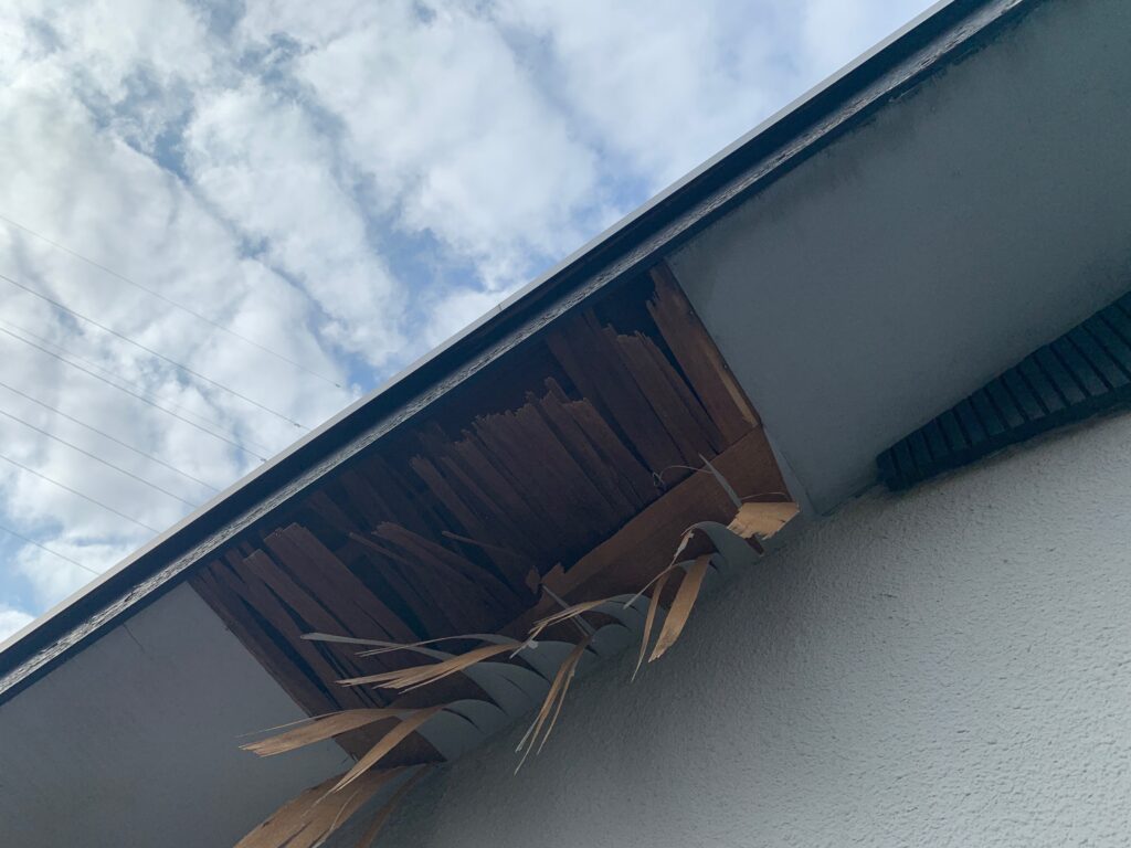 一部が崩壊した軒天